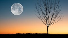 चांद को क्यों कहते हैं मामा? जवाब सुनकर चौंक जाएंगे आप