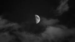 Ashwin Amavasya 2024: কবে পড়ছে আশ্বিন অমাবস্যা, তিথি ও মাহাত্ম্য