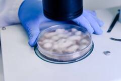 Women Health: શું ફ્રિઝિંગ એગ ટેકનિકમાં માતા બનવા માટે મોટી ઉંમર વિઘ્નરૂપ નથી બનતી? જાણો શું છે મેથડ