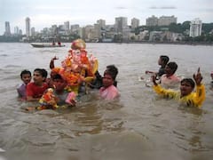 विसर्जनासाठी चौपाटीवर जाणार आहात?; मुंबईकरांनो काळजी घ्या, समुद्रकिनाऱ्यावर दंश करणारे मासे!