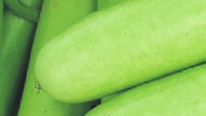 এটি রক্তে শর্করার মাত্রা নিয়ন্ত্রণ করতে পারে। তবে শুধুমাত্র ডাক্তারের পরামর্শেই সেবন করা উচিত।