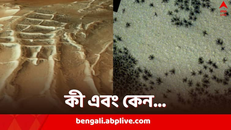 Spiders on Mars mystery now revealed know in details Spiders on Mars: মঙ্গলের বুকে ঝাঁক ঝাঁক মাকড়শা? স্যাটেলাইটে ধরে পড়ে আগেই, রহস্য মিটল এতদিনে