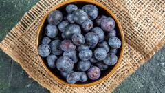 Jamun Benefits: প্রেগনেন্সির সময়ে অমৃতের মত কাজ দেয় এই ফল, কী কী উপকার ?