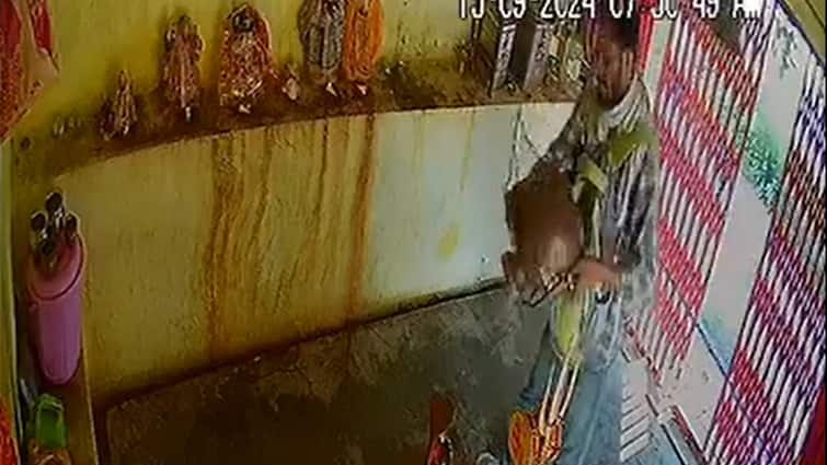 Kanpur news Man steals holy brass pot after offering prayers in temple caught on camera CCTV Uttar Pradesh news Kanpur: Man Offers Prayer, Then Steals Holy Brass Pot From Shiva Temple — Caught On Camera