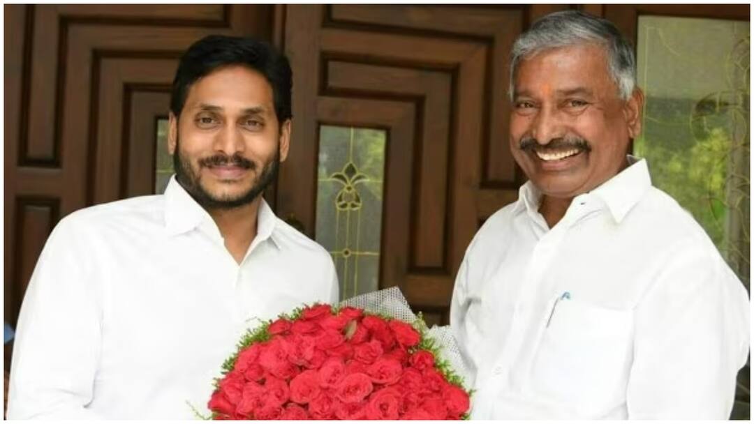 Jagan restricted Peddireddy Ramachandra Reddy to the district in YSRCP Telugu News: నాడు షాడో సీఎం అన్నారు నేడు జిల్లాకే పరిమితం చేశారు! పెద్దిరెడ్డి పెద్దరికం పోయినట్టేనా?