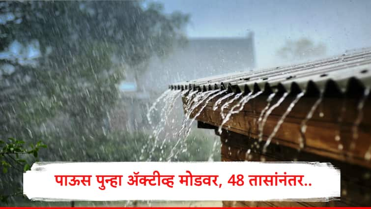 Maharashtra weather Update Rain alert by IMD Rain in active mode from 19 to 22 september Rain yellow alert Rain Update: राज्यात पाऊस पुन्हा ॲक्टीव मोडवर, पुढील 48 तासांनंतर या जिल्ह्यांना धुंवाधार पावसाचा इशारा