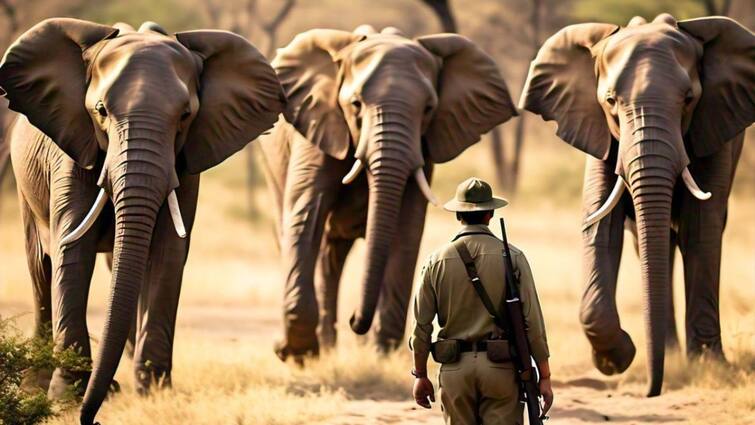 Zimbabwe to kill 200 elephants to feed people left hungry by drought due weather l Nino Zimbabwe Drought:200 யானைகளை கொல்லப்போவதாக ஜிம்பாப்வே அரசே அறிவிப்பு: அதிர்ச்சியளிக்கும் காரணம்..!
