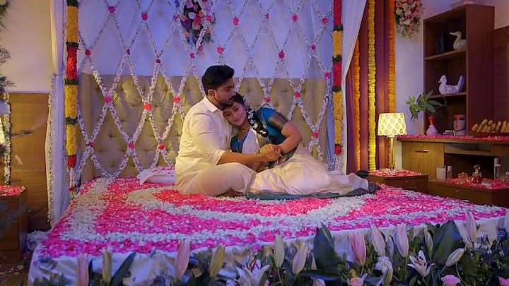 ఇంతలో బయట మహదేవయ్యను చంపేందుకు రౌడీ గ్యాంగ్ దిగుతుంది... మహదేవయ్యపై హత్యాప్రయత్నం చేయడం ..ఆ అరుపులు విని సత్య క్రిష్ రూమ్ లోంచి బయటకు వచ్చేస్తారు..