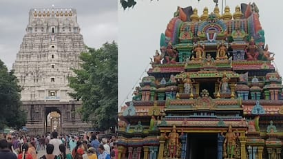 Puratasi 2024 Kanchipuram Divya Desam Temples List in Tamil TNN Kanchipuram Divya Desam: பிறந்தது புரட்டாசி.. ஒரே நாளில் 15 திவ்ய தேசங்கள்.. காஞ்சிபுரம் திவ்ய தேசங்கள் பட்டியல் இதோ