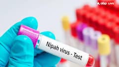 कितने दिन में ठीक हो जाता है निपाह वायरस का मरीज? जानें कैसे होता है इलाज