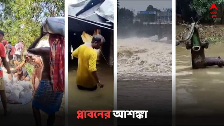 Flood Situation Update: নিম্নচাপের বৃষ্টিতে ভাসছে দুই মেদিনীপুর, বীরভূম, হুগলির একাংশ, ডিভিসির ছাড়া জলে নিম্ন দামোদর উপত্যকায় প্লাবন আশঙ্কা।