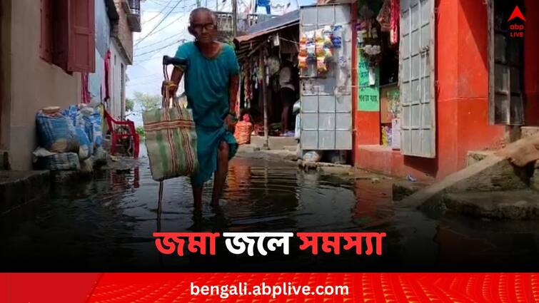 Malda Netaji Nagar residents faced Problem for water logging Malda News: দীর্ঘদিন ধরে জলমগ্ন মালদার নেতাজি কলোনি, সমস্যায় জর্জরিত বাসিন্দারা