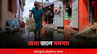 Malda Netaji Nagar residents faced Problem for water logging Malda News: দীর্ঘদিন ধরে জলমগ্ন মালদার নেতাজি কলোনি, সমস্যায় জর্জরিত বাসিন্দারা