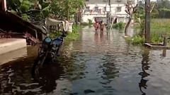 WB Flood Situation: নিম্নচাপের বৃষ্টিতে ভাসছে ৪ জেলার একাংশ, DVC-র ছাড়া জলে প্লাবন-আশঙ্কা