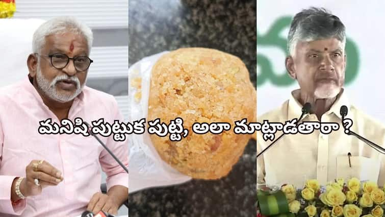 YV Subba Reddy challengs AP CM Chandrababu over Tirumala Laddu Row Tirumala Laddu వివాదం- మనిషి పుట్టుక పుట్టి, ఇలా మాట్లాడతారా ? చంద్రబాబుపై వైవీ సుబ్బారెడ్డి ఫైర్