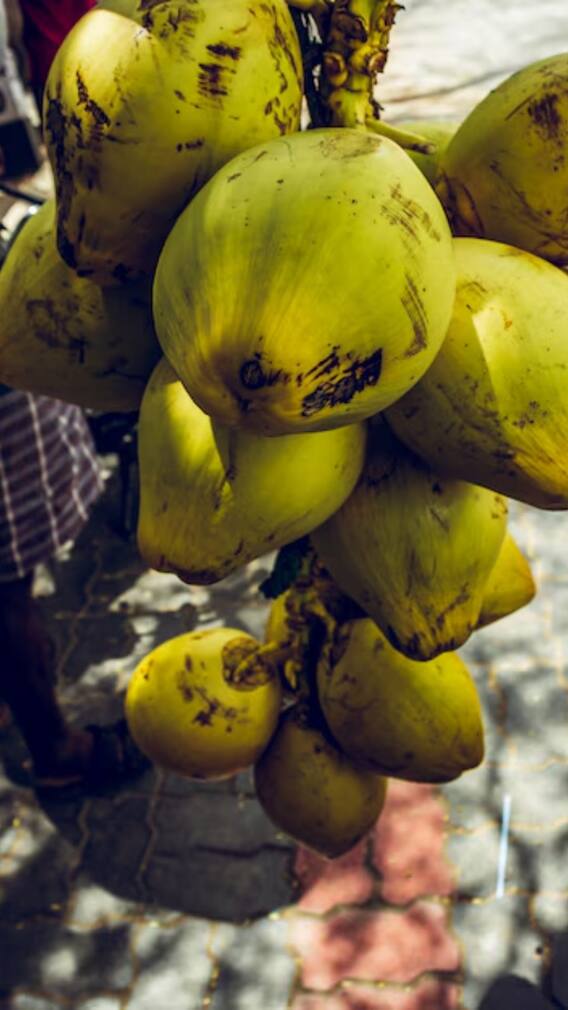 नारियल में कितना है पानी, ऐसे चलता है पता