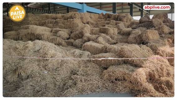 Nitin Gadkari Reveals Bio-Fuel Can Save Up To 50%: Discover The Cheaper Alternative To Petrol And Diesel | Paisa Live