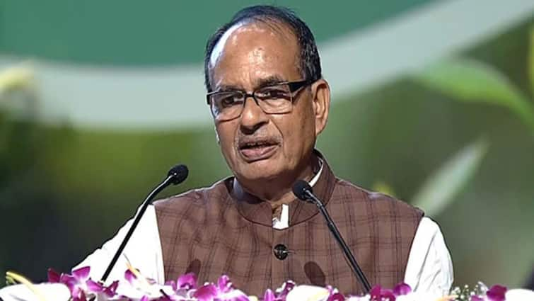 'India Not Dharmshala': Shivraj Chouhan Slams 'State-Sponsored Infiltration' In Jharkhand