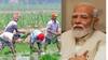 Sarkari Yojana : काय आहे PM आशा योजना? सरकारनं केली 35000 कोटींची तरतूद, शेतकऱ्यांना होणार फायदा