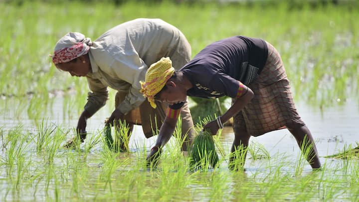 PM Kisan Yojana Next Installment: ਦੇਸ਼ ਦੇ 12 ਕਰੋੜ ਤੋਂ ਵੱਧ ਕਿਸਾਨਾਂ ਨੇ ਇਸ ਯੋਜਨਾ ਦਾ ਲਾਭ ਲਿਆ ਹੈ। ਇਹ ਕਿਸਾਨ ਹੁਣ ਇਸ ਸਕੀਮ ਦੀ 18ਵੀਂ ਕਿਸ਼ਤ ਦੀ ਉਡੀਕ ਕਰ ਰਹੇ ਹਨ। ਪਰ ਇਨ੍ਹਾਂ ਕਿਸਾਨਾਂ ਦੀ ਅਗਲੀ ਕਿਸ਼ਤ ਅਟਕ ਸਕਦੀ ਹੈ।