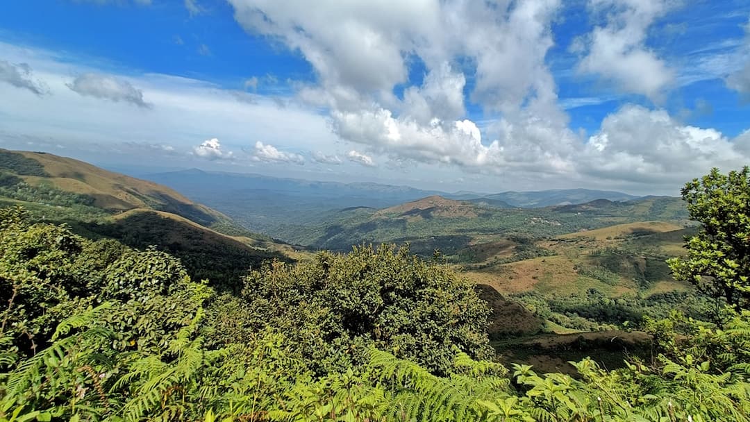 Karnataka Natural Wonders Exploring Jog Falls and Honnavar Tourist Places in Karnataka: కర్ణాటకలో ఒక్కరోజులో చూడగలిగే ది బెస్ట్ ప్లేసెస్ ఇవే - నేచర్ లవర్స్‌కి మస్ట్ విజిట్!