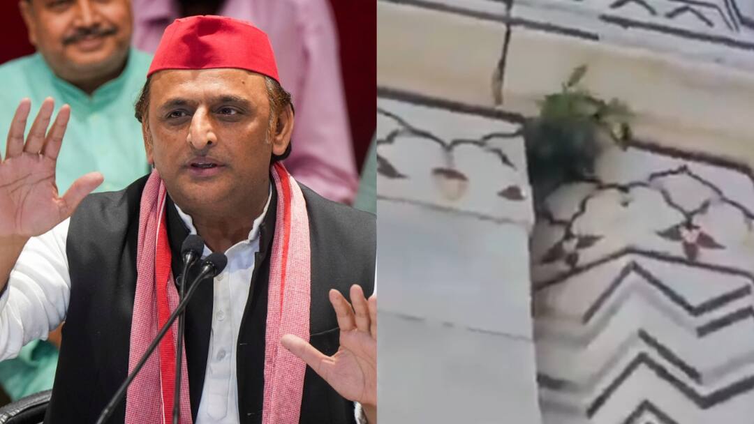 Akhilesh Yadav Slams UP Govt Over Failure Maintain Taj Mahal Tarnishing India Global Image Akhilesh Yadav Slams UP Govt Over 'Failure' To Maintain Taj Mahal: 'Tarnishing India's Global Image'