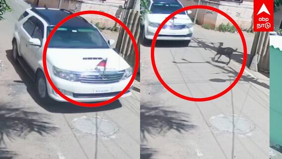 Trichy News | திமுக கொடியுடன் ஆடு திருடும் கும்பல்..தீவிரமாக தேடும் போலீஸ்