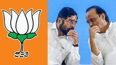 नागपूर ग्रामीणच्या सहाही जागा भाजप लढवणार, शिंदे गट आणि अजित पवारांना काय मिळणार? आशिष जयस्वाल रामटेकमधून अपक्ष लढणार का?  