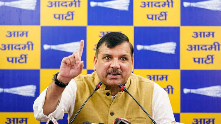 AAP leader Sanjay Singh claims bJP stop Arvind Kejriwal public welfare scheme Delhi  Sanjay Singh: 'अरविंद केजरीवाल CM नहीं बने तो BJP...', AAP नेता संजय सिंह का दावा 