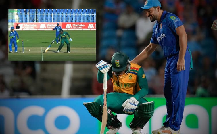 AFG vs SA 1st ODI Did Gulbadin Naib cheating run out against Andile Phehlukwayo Video Watch: गुलबदीन ने 'बेईमानी' से दक्षिण अफ्रीका के बल्लेबाज को किया रन आउट? वीडियो वायरल