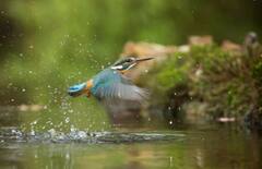 ਨਹਾਉਣਾ ਤਾਂ ਦੂਰ ਦੀ ਗੱਲ ਭਾਰਤ ਦੀ ਇਸ ਨਦੀ ਨੂੰ ਛੂਹਣ ਤੋਂ ਵੀ ਡਰਦੇ ਨੇ ਲੋਕ, ਬੁੱਝੋ ਭਲਾ ਕੀ ਹੈ ਨਾਂਅ ?