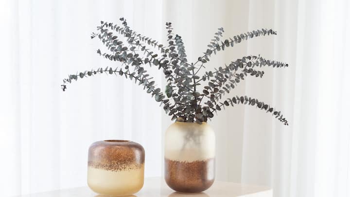 Adding plants to your home decor is another option that fits well into everyday life. Indoor plants can provide better air quality, add natural humidity, and bring a refreshing touch of nature indoors. Opting for native biological plant species or those that require minimal water and care can further reduce the negative environmental impact. (Image source: Canva)