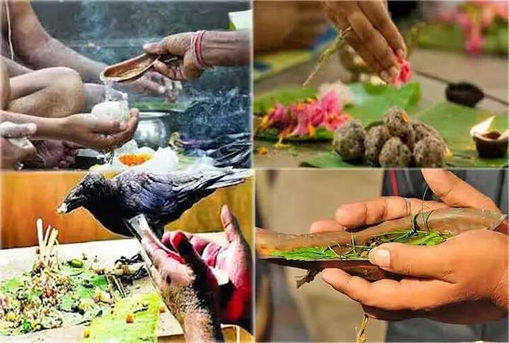 अनंत चतुदर्शीच्या दुसऱ्या दिवसापासून पितृपक्षाला सुरुवात झाली आहे. पितृ पक्षाच्या काळात पितरं पृथ्वीवर वास करतात. यावेळी तृप्त किंवा अतृप्त अशा सर्व पितरांसाठी तर्पण, श्राद्ध, पिंडदान वगैरे केली जातात, यामुळे पितरांचा आत्मा तृप्त होतो, अशी मान्यता आहे. त्यामुळे हिंदू धर्मात पितृ पंधरवड्याला अतिश्य महत्त्व आहे.