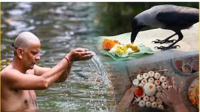 pitru-paksha-2024-know-difference-between-pind-daan-shradh-and-tarpan-vidhi Pitru Paksha 2024: પિંડ દાન, શ્રાદ્ધ અને તર્પણ એક જ નથી, જાણો ત્રણેયનો તફાવત અને તેની વિધિ