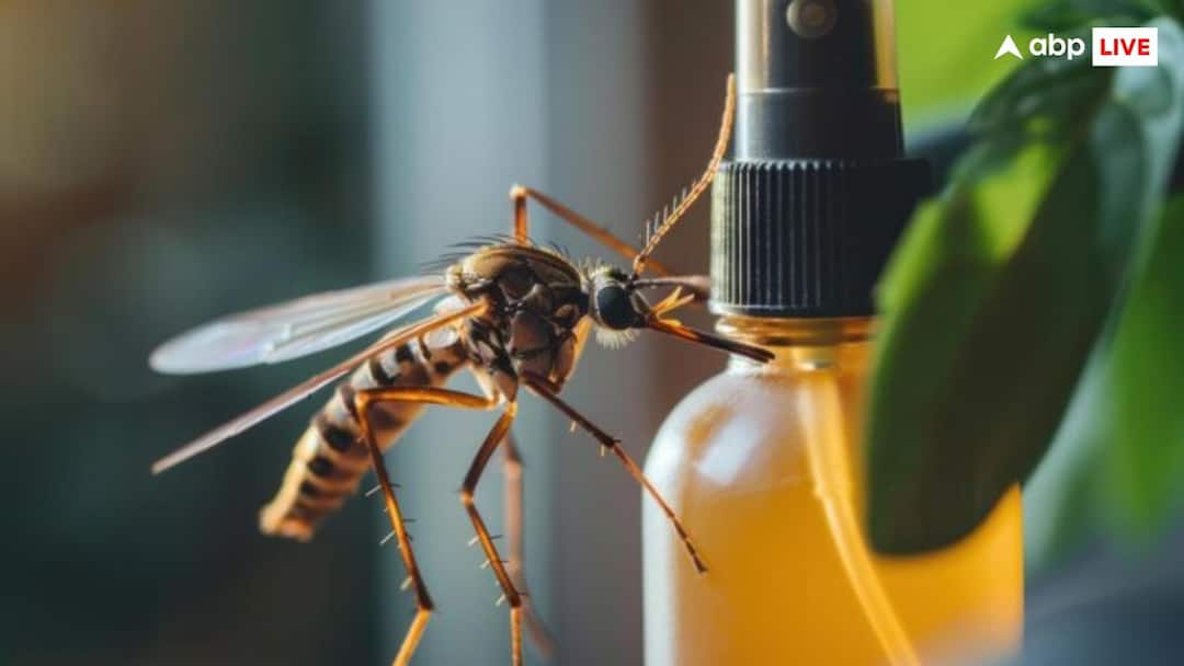 Dengue Cases In Patna Rise To 312, Students Worst-Hit Dengue Cases In Patna Rise To 312, Students Worst-Hit