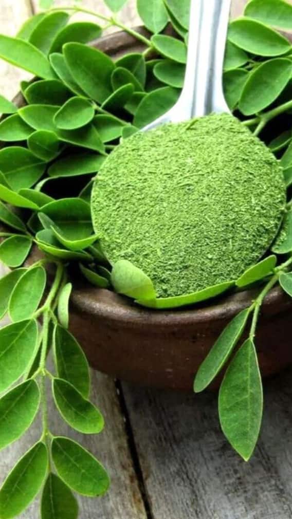 ਮੋਰਿੰਗਾ ਪਾਊਡਰ ਦੇ ਅਦਭੁਤ ਫਾਇਦੇ: ਸਿਹਤ ਅਤੇ ਸੁੰਦਰਤਾ ਲਈ ਇੱਕ ਸੁਪਰਫੂਡ