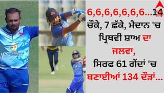 14 fours, 7 sixes, Prithvi Shaw's brilliance in the field, 134 runs scored in just 61 balls details inside