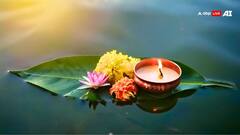 Pitru Paksha 2024: पितरों के नाराज होने से घर में होती हैं ये घटनाएं, करें ये खास उपाय
