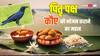 Pitru Paksha 2024: कौए को श्राद्ध का भोजन क्यों खिलाया जाता है ? गरुड़ पुराण में छिपा है राज