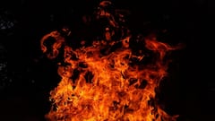 Tamil Nadu: 1 Dead, 1 Critically Injured In Explosion At Virudhunagar Firecracker Factory