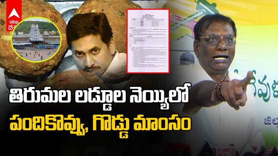 TDP revealed reports on TTD Laddus | టీటీడీ లడ్డూల ల్యాబ్ రిపోర్టులు బయటపెట్టిన టీడీపీ | ABP Desam