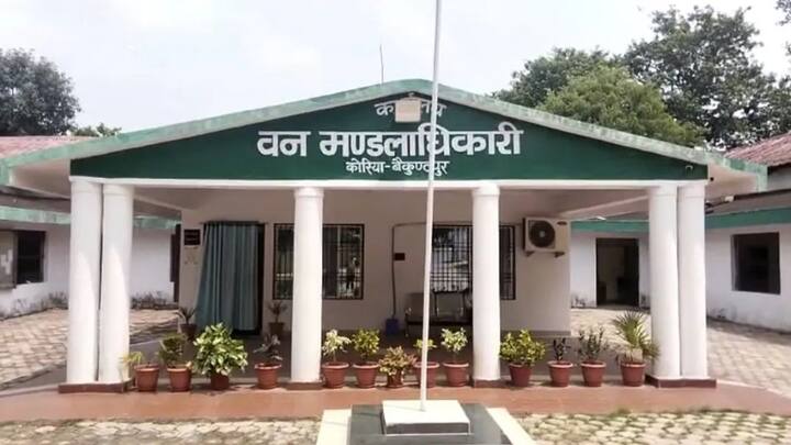 मुआवजे के लिए आपको अपने स्थानीय वन अधिकारी को लिखित रूप से अर्जी देनी होगी. जिस पर जांच की जाएगी. जांच पूरी होने के 15 दिन के अंदर ही आपको मुआवजे की राशि दे दी जाएगी