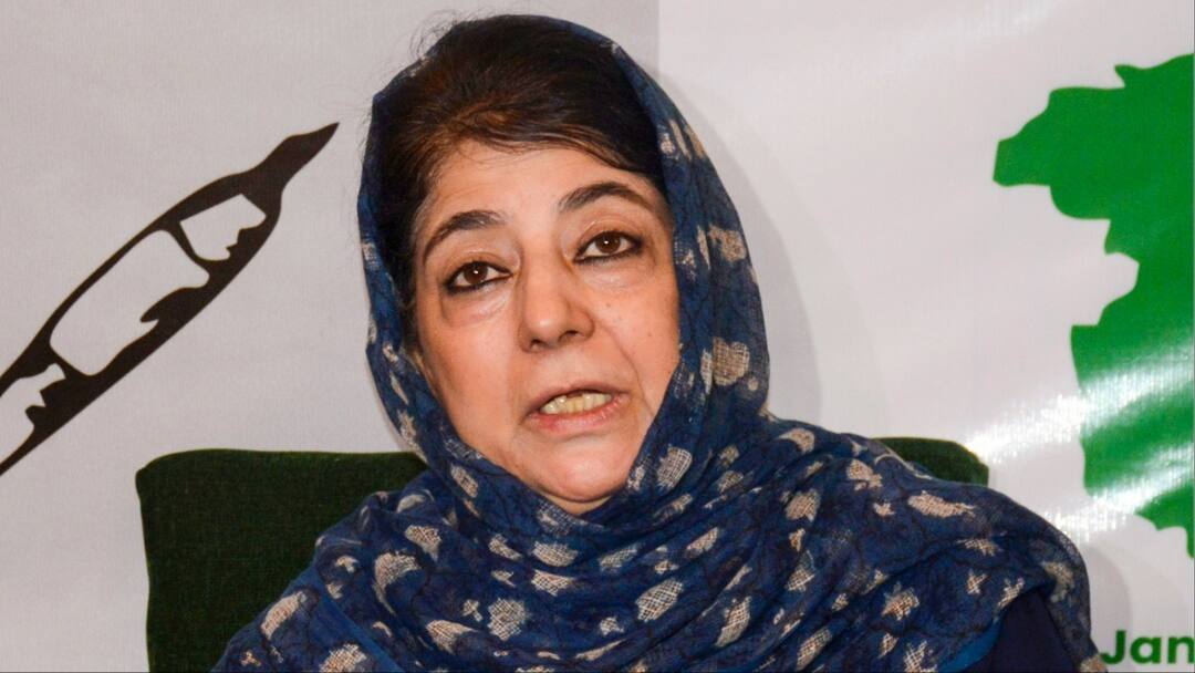 Jammu Kashmir Assembly Election 2024 PDP Chief Mehbooba Mufti attacks on PM Narendra Modi statement Sheikh Abdullah 'PM मोदी और भारत को अब्दुल्ला खानदान का शुक्रगुजार रहना चाहिए', महबूबा मुफ्ती ने क्यों कही ये बात?