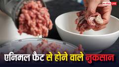 बीफ या एनिमल फैट खाने से सेहत पर क्या होता है असर, जानें क्या कहते हैं एक्सपर्ट