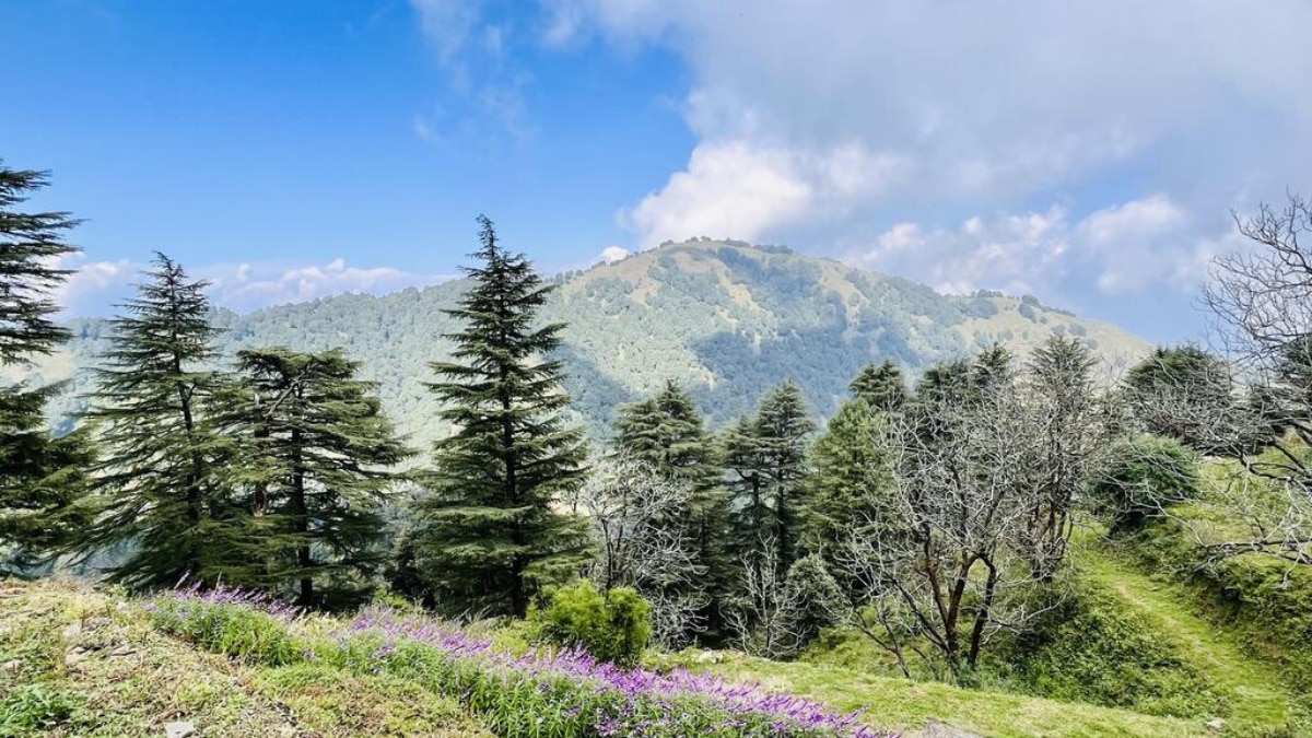 Hill-Station Escape: 7 Beautiful Places In Mussoorie You Can't Miss