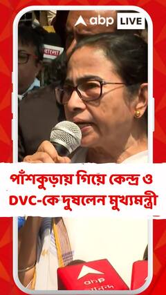 বন্যাদুর্গত পাঁশকুড়ায় গিয়ে কেন্দ্র ও DVC-কে দুষলেন মুখ্যমন্ত্রী
