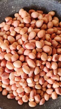 મગજ બનશે તેજ! આ 5 રીતે મગફળી ખાવાથી થશે ફાયદો