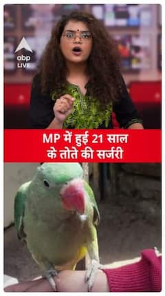 21-Year-Old Parrot Undergoes Surgery In Madhya Pradesh, Doctors Break Down In Tears | ABP Live