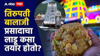Tirupati Laddu : तिरुपती प्रसादाच्या लाडूत आढळली प्राण्यांची चरबी; नेमके कसे तयार होतात हे लाडू? 300 वर्षांपासूनची परंपरा काय?
