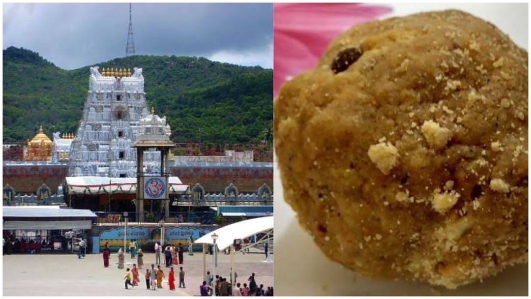 YCP filed a petition in AP High Court request sitting judge inquiry into Tirumala Tirupati Laddu Prasad controversy Tirumala Tirupati Laddu : తిరుపతి లడ్డూ వివాదంలో మరో మలుపు- ఏపీ హైకోర్టులో పిటిషన్ దాఖలు
